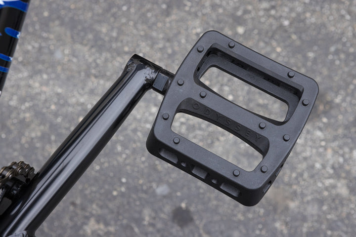 Sunday Forecaster Park - Maca Perez Grasset Signature