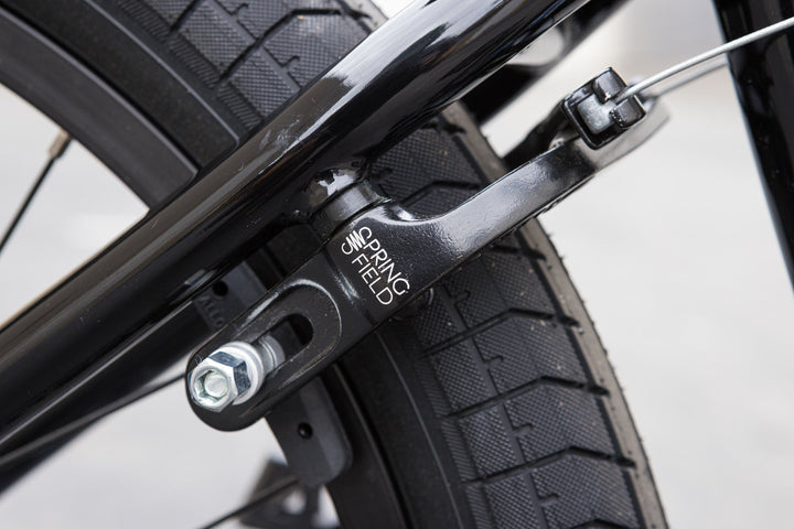 Sunday Forecaster Park - Maca Perez Grasset Signature