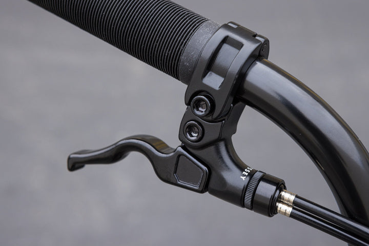 Sunday Forecaster Park - Maca Perez Grasset Signature