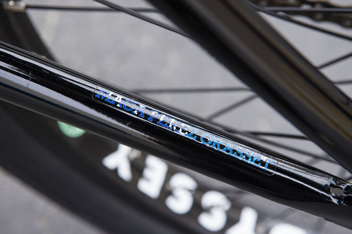 Sunday Forecaster Park - Maca Perez Grasset Signature