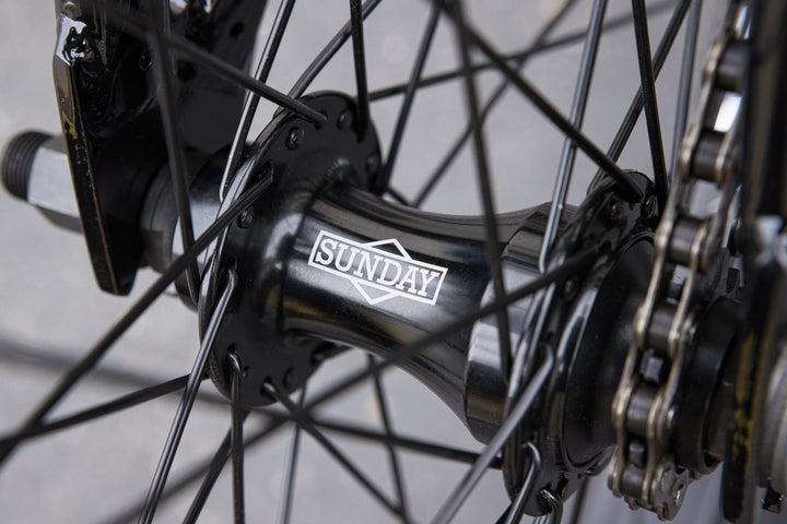 Sunday Forecaster Park - Maca Perez Grasset Signature