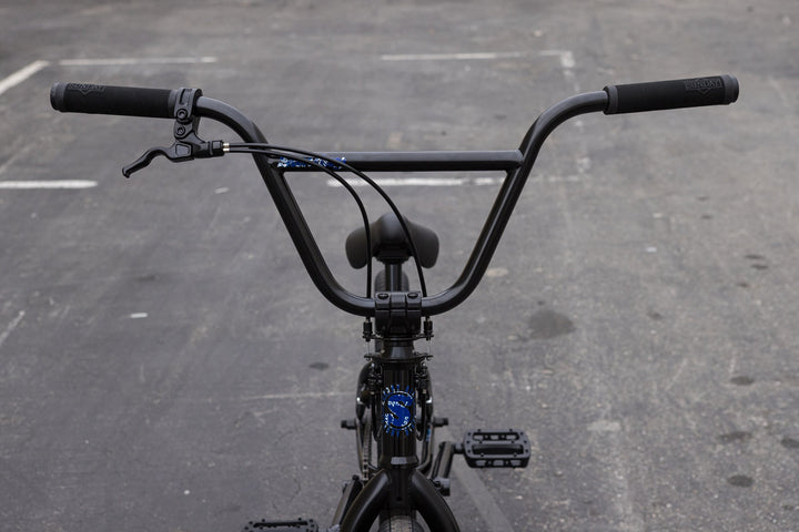 Sunday Forecaster Park - Maca Perez Grasset Signature