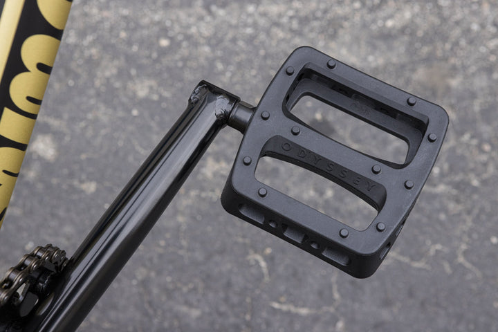 Sunday Forecaster - Broc Raiford Signature