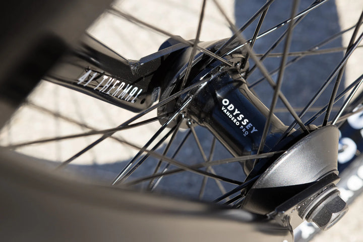 Sunday Soundwave Special