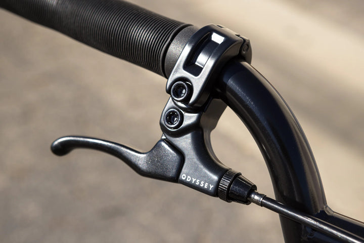 Sunday Wavelength - Gary Young Signature