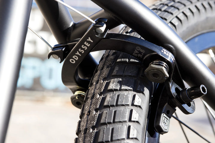 Sunday Wavelength - Gary Young Signature