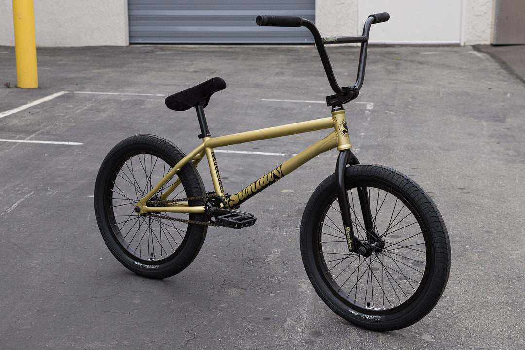 Sunday Forecaster - Broc Raiford Signature