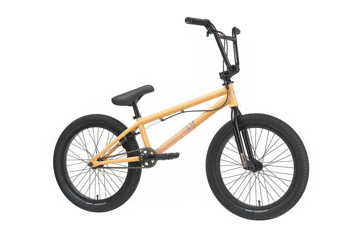 Sunday Forecaster Park - Maca Perez Grasset Signature