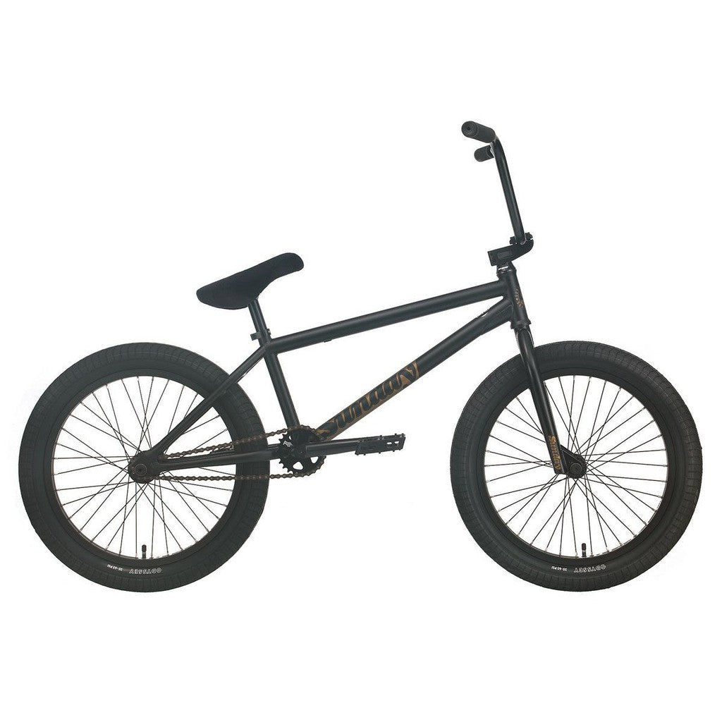 Sunday Forecaster - Broc Raiford Signature