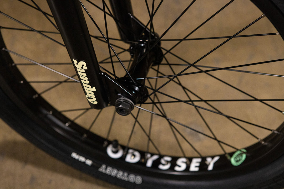 Sunday Forecaster - Duncan Signature
