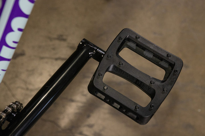 Sunday Forecaster - Broc Raiford Signature