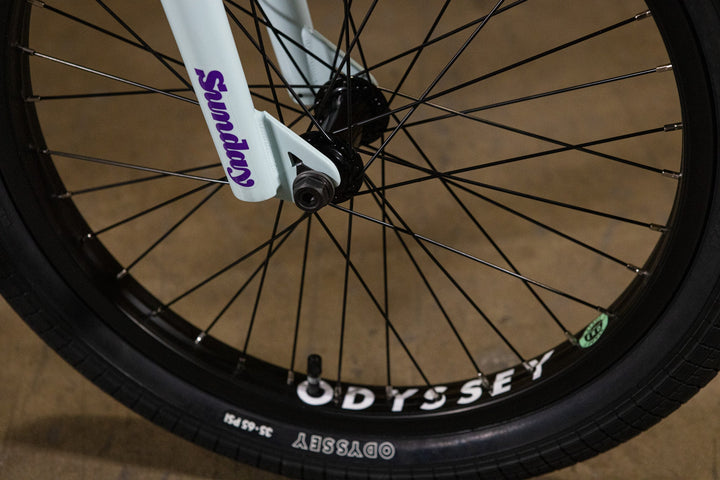Sunday Forecaster - Broc Raiford Signature
