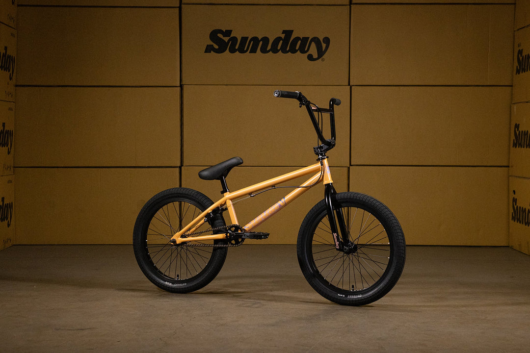 Sunday Forecaster Park - Maca Perez Grasset Signature