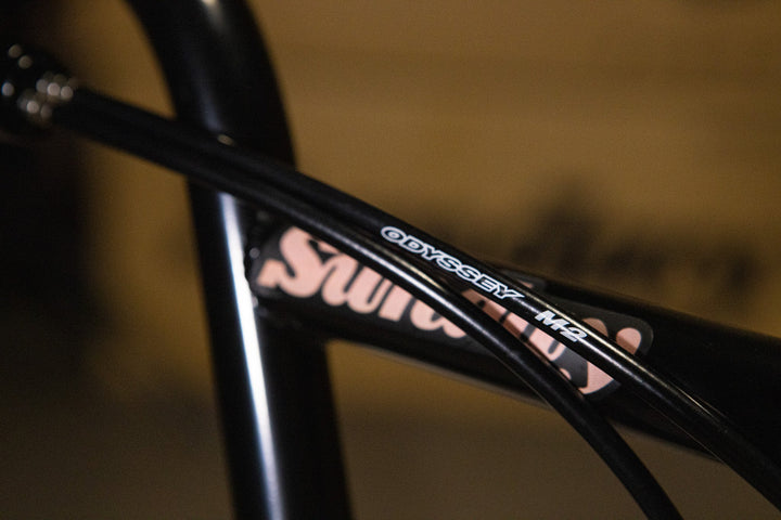 Sunday Forecaster Park - Maca Perez Grasset Signature