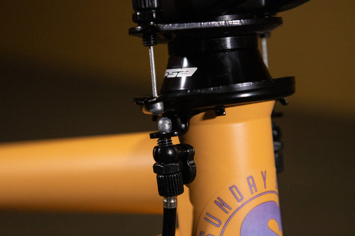Sunday Forecaster Park - Maca Perez Grasset Signature