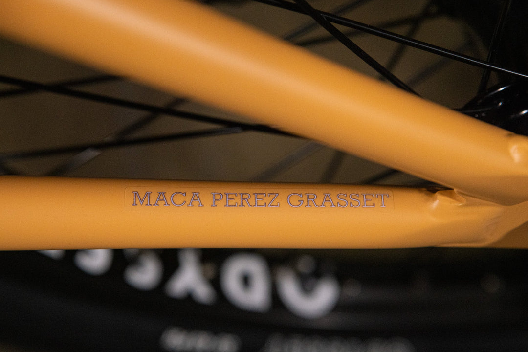 Sunday Forecaster Park - Maca Perez Grasset Signature