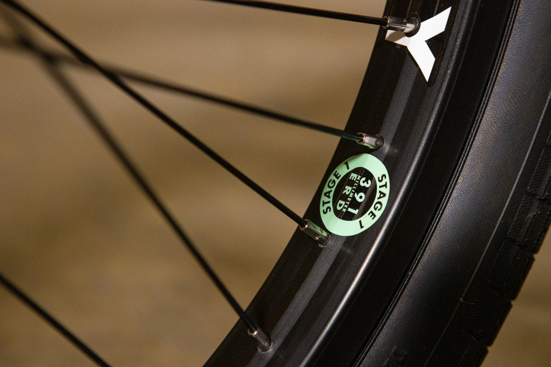 Sunday Forecaster Park - Maca Perez Grasset Signature